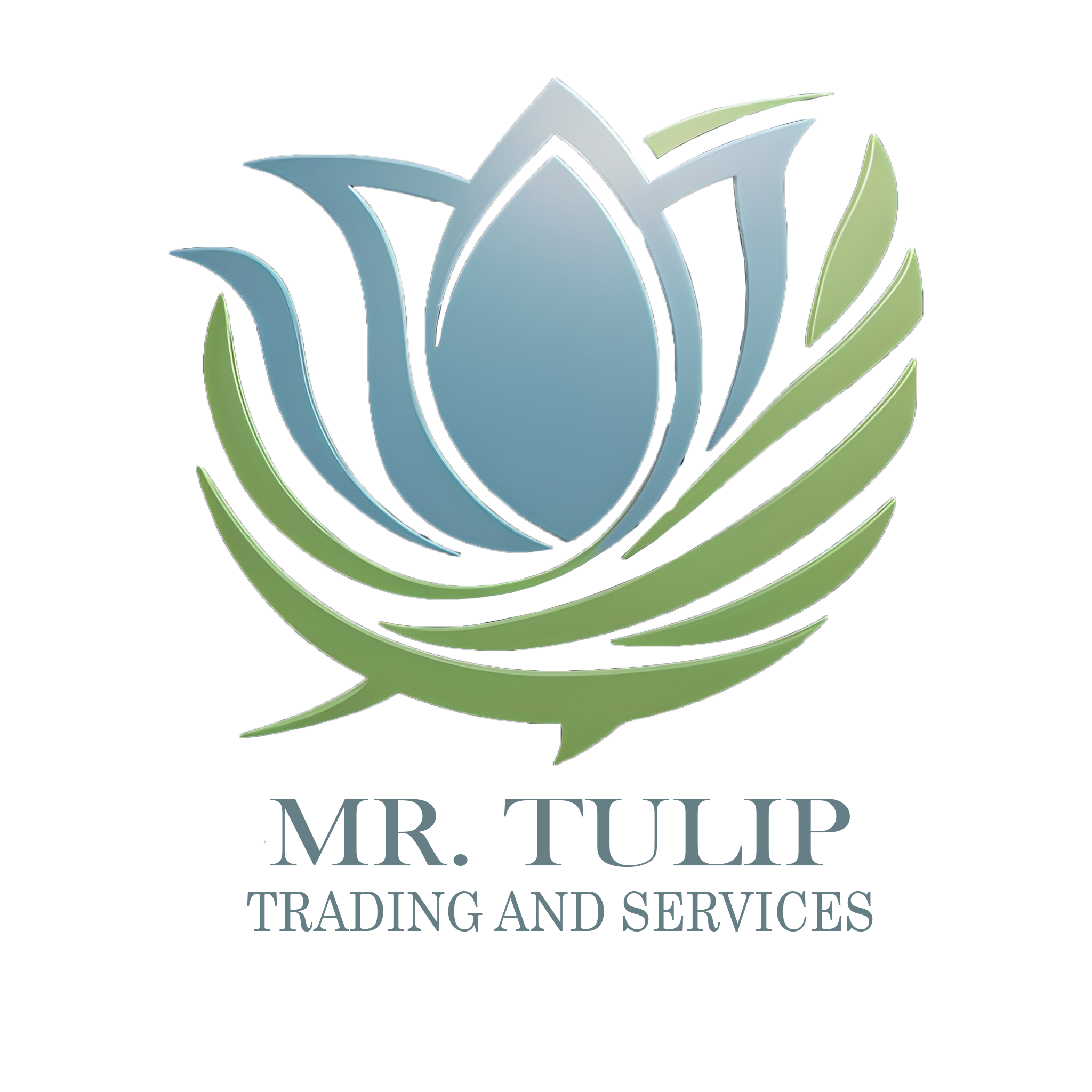 Mr.Tulip - Qatar