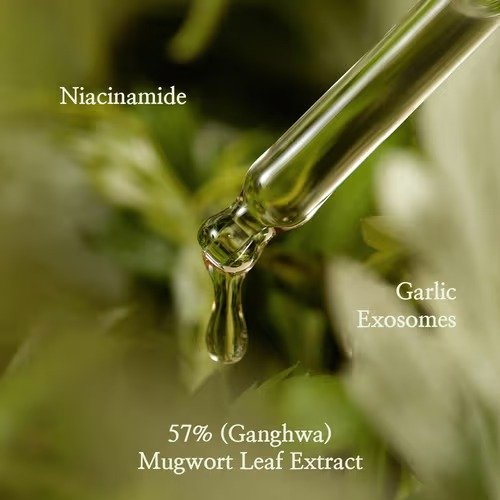 I'm From Mugwort Serum (30ml) - Image 2
