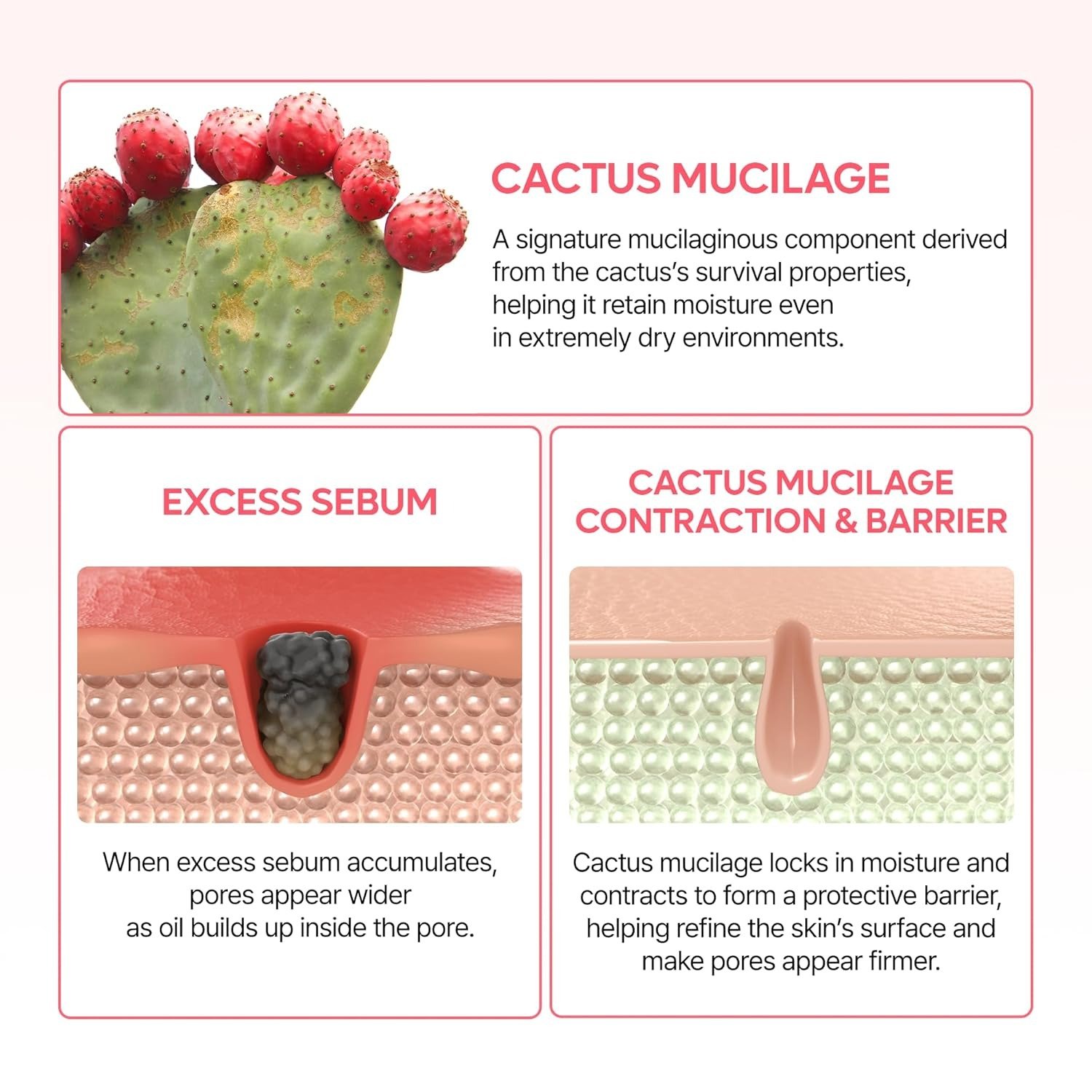 Dr Melaxin Cactox Pore Relief Dual Capsule Cream 65G - Image 4
